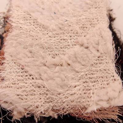 每日精選丨與眾不同的二次工藝蕾絲