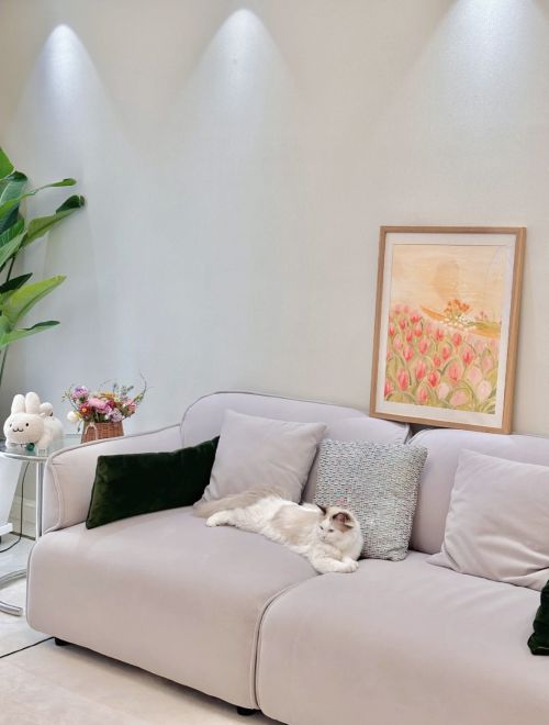 養(yǎng)貓人必看 顧家出色沙發(fā)幫你解決貓主子們抓沙發(fā)的困擾