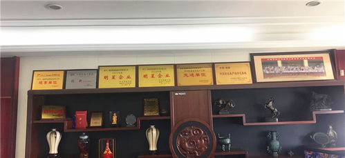 植絨系列產品的專業制造 福建強盛植絨皮革